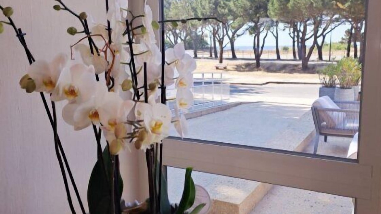 Photo of Others in Carnac