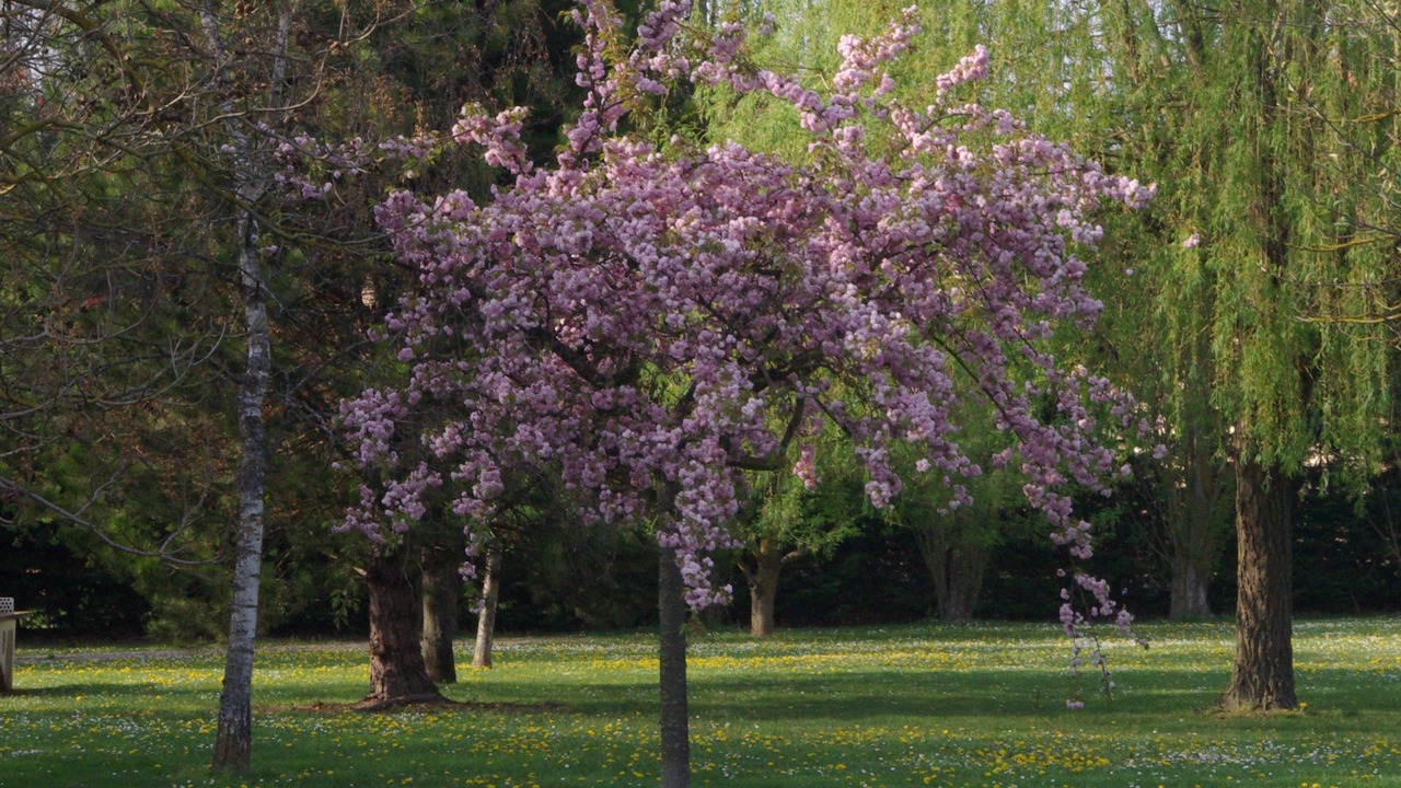 Photo of Others in Beaune