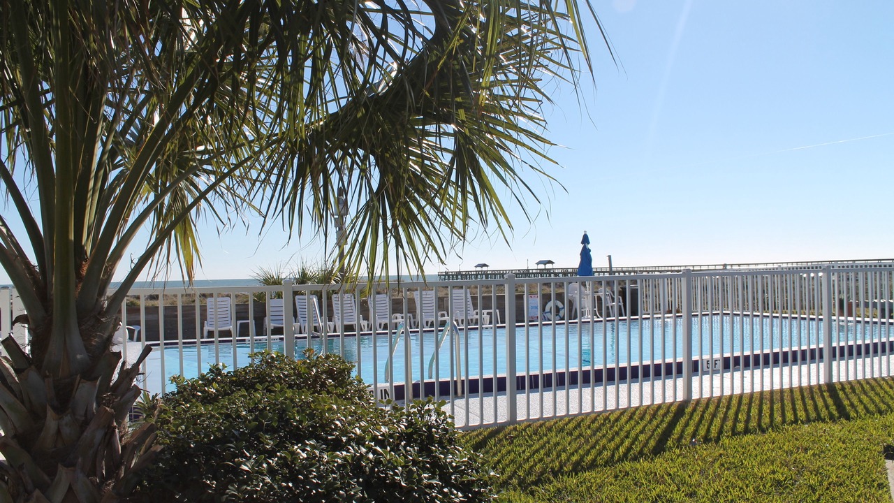 Photo of Outdoor in Fernandina Beach