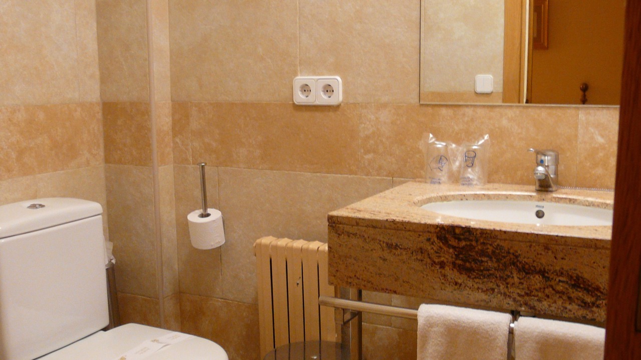 Photo of Bathroom in Seu de Urgell