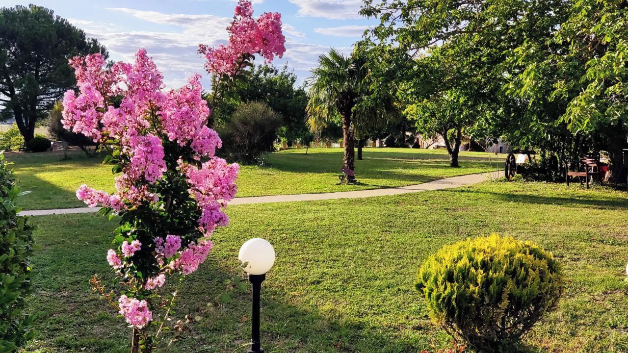 Photo of Outdoor in Availles-en-Chatellerault