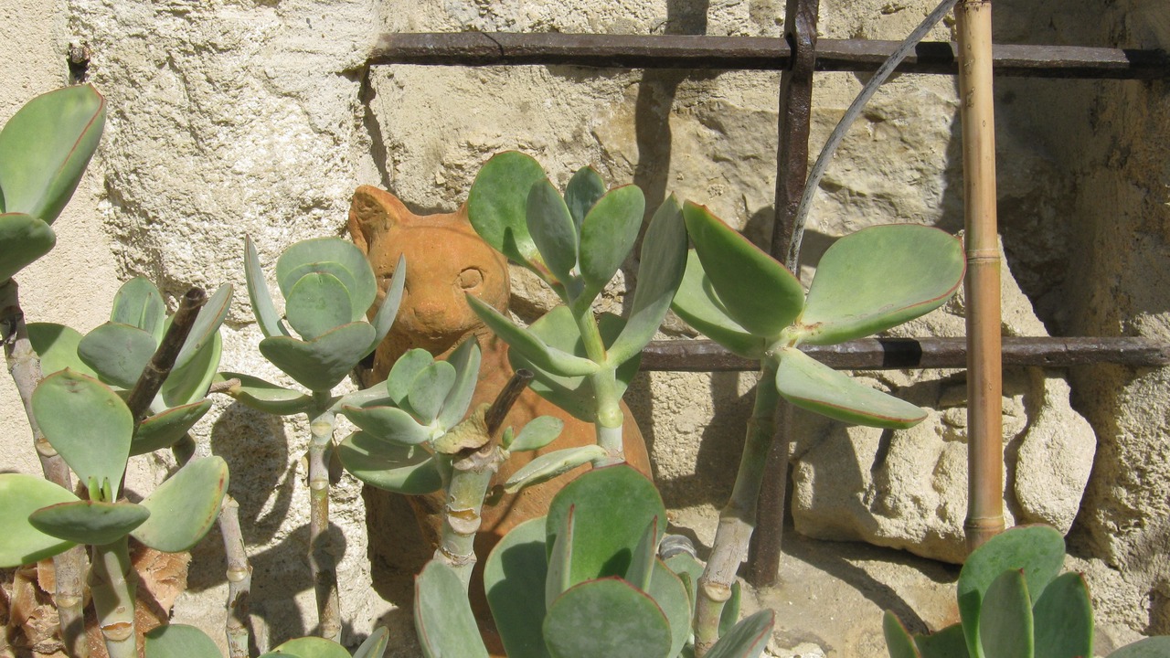 Photo of Outdoor in Villeneuve-les-Avignon