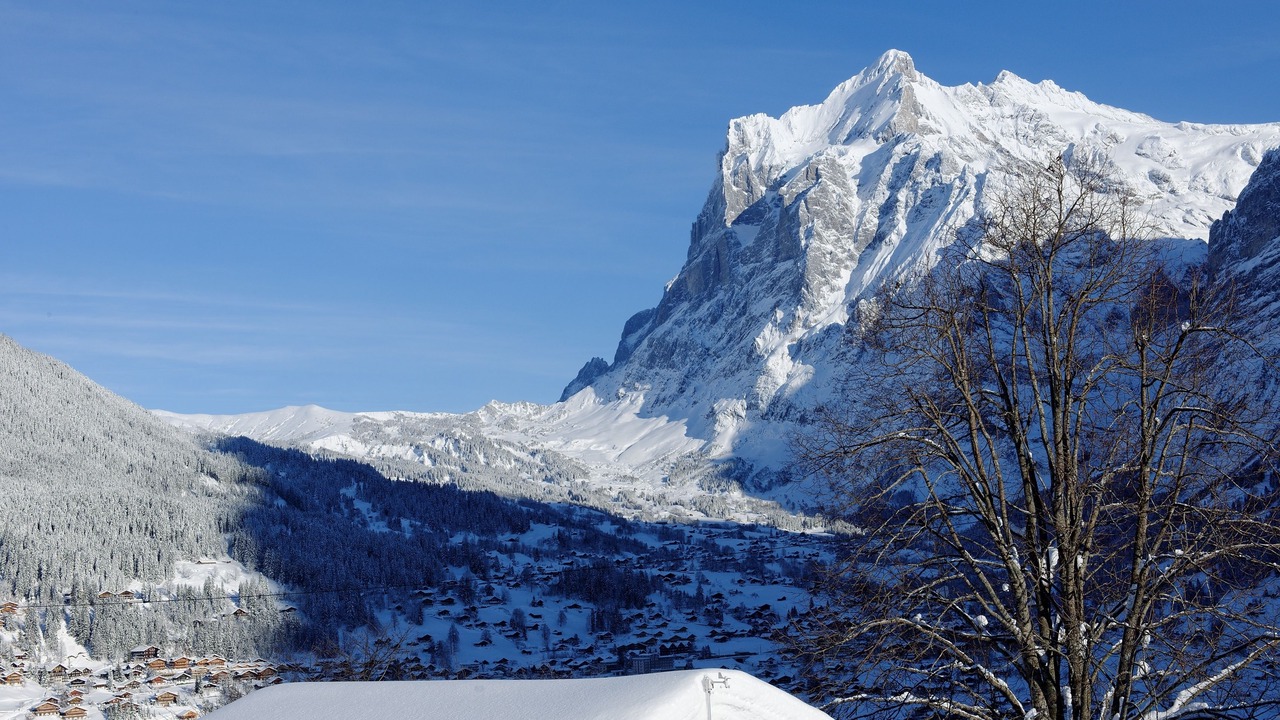 Photo of Others in Grindelwald