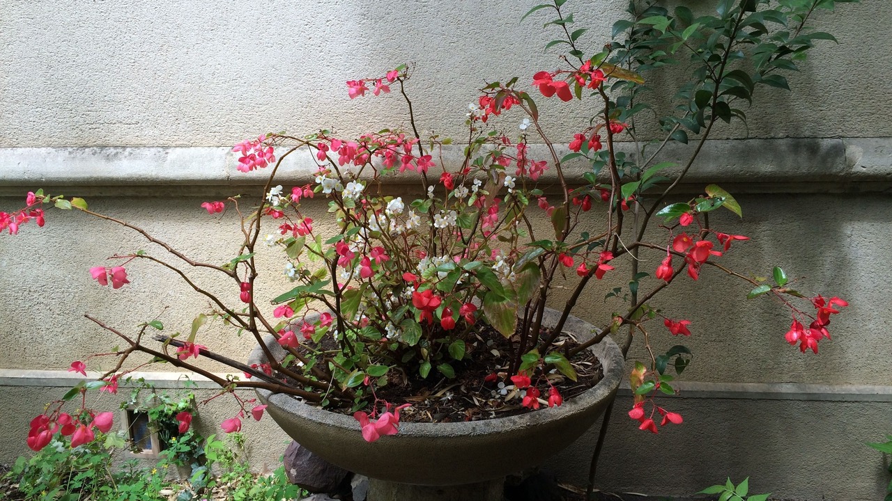 Photo of Outdoor in Boutonnet