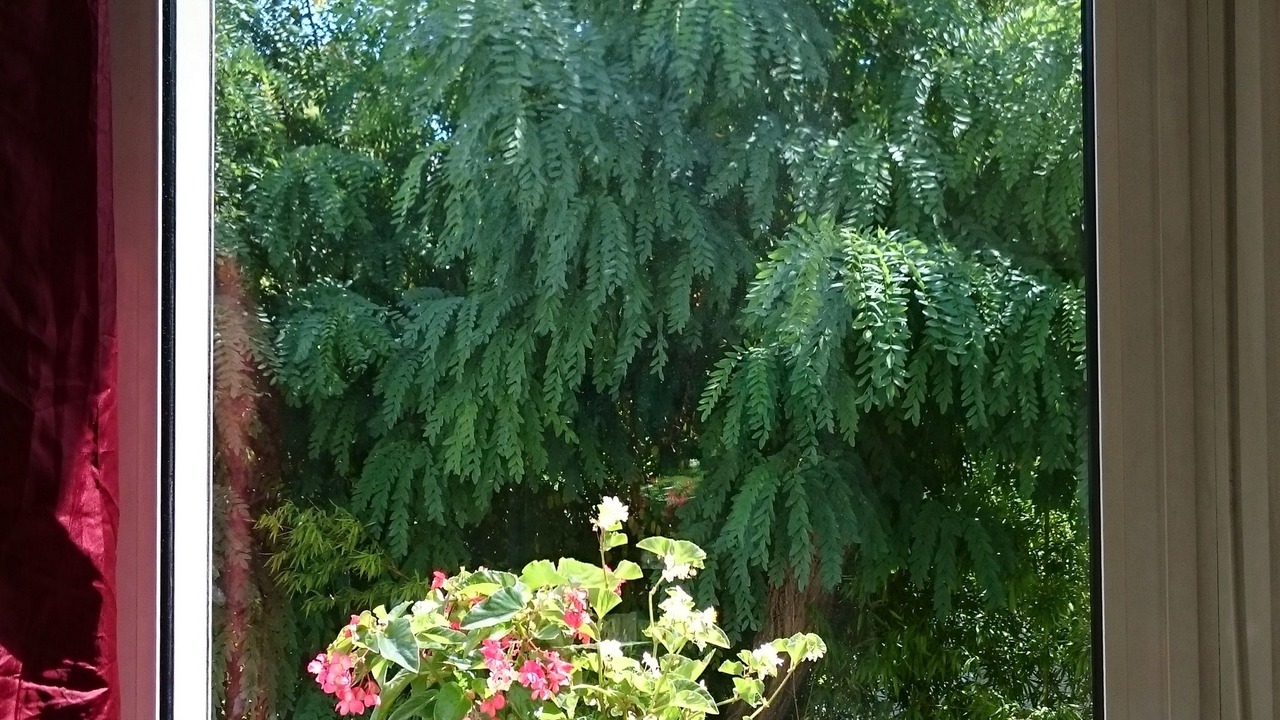 Photo of Bedroom in Boutonnet