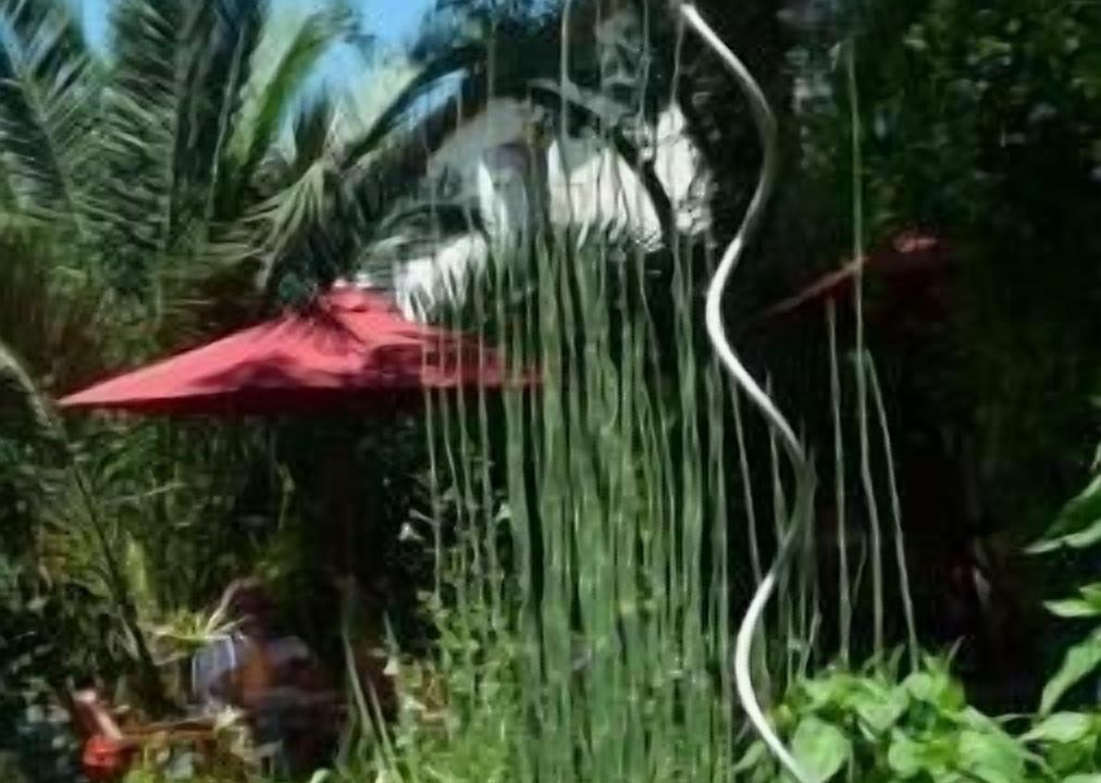 Photo of Outdoor in Les Arceaux