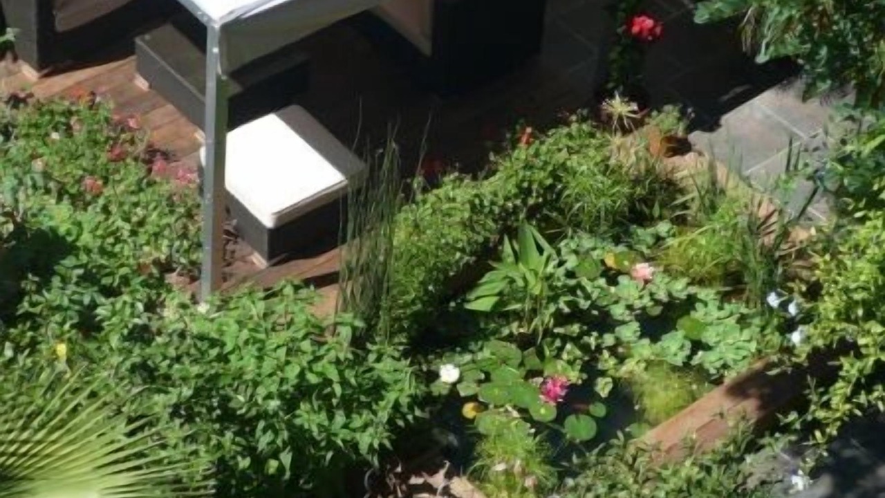 Photo of Outdoor in Les Arceaux