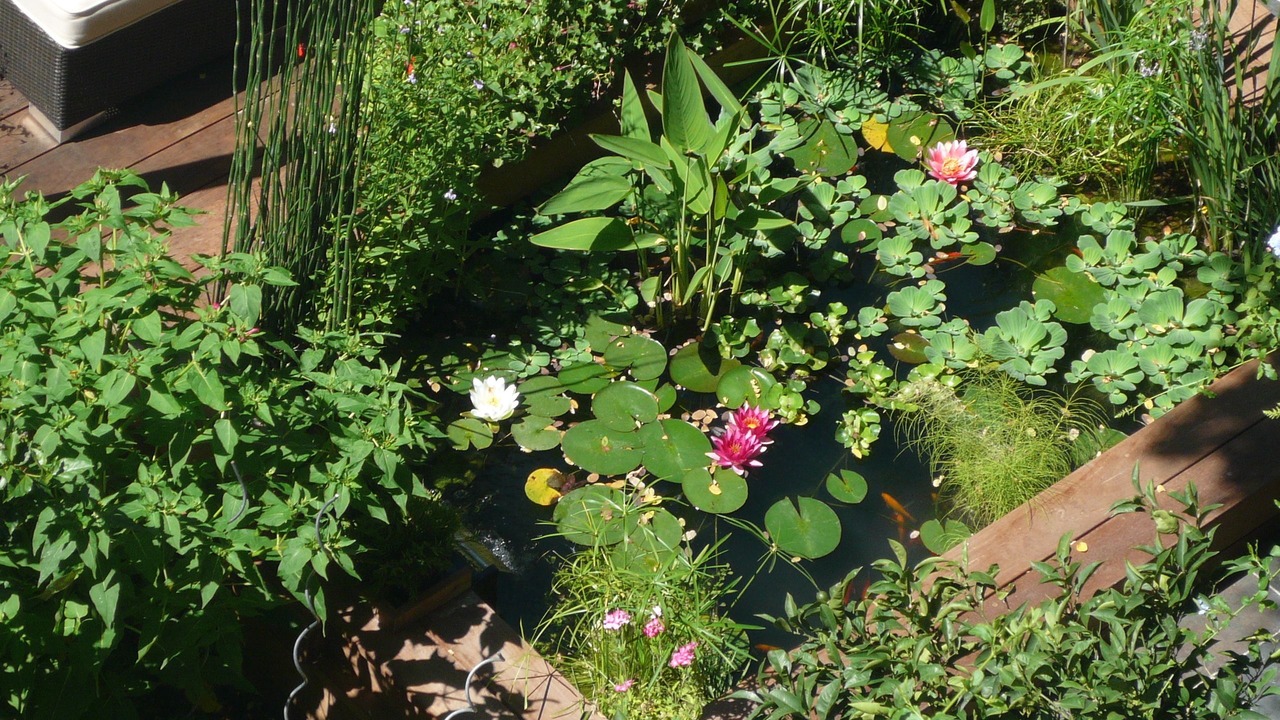 Photo of Outdoor in Les Arceaux