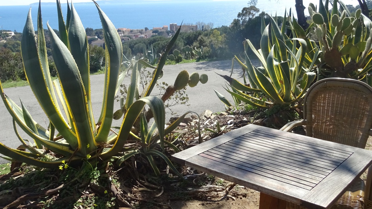 Photo of Others in Cavaliere