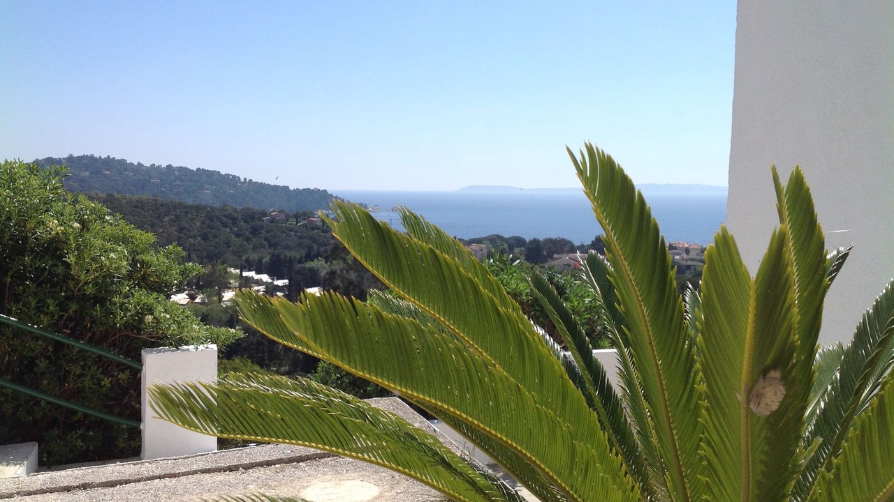 Photo of Outdoor in Cavaliere