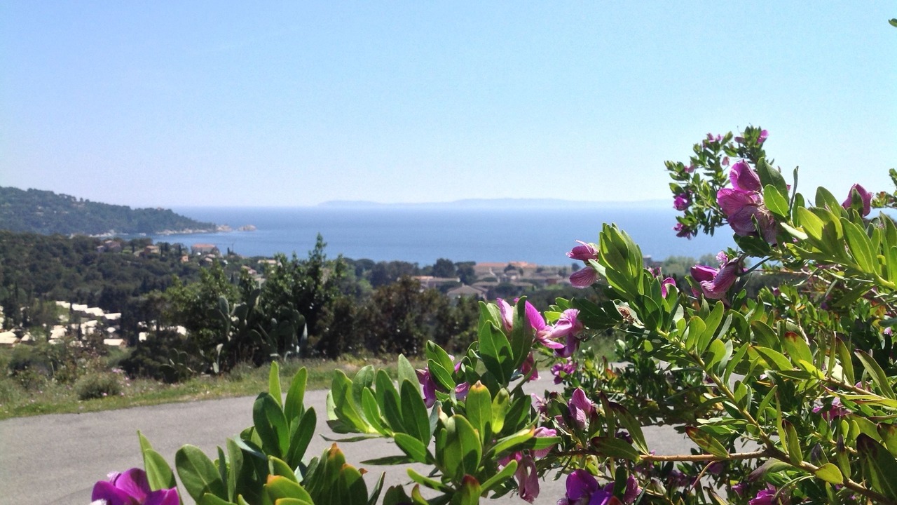 Photo of Outdoor in Cavaliere