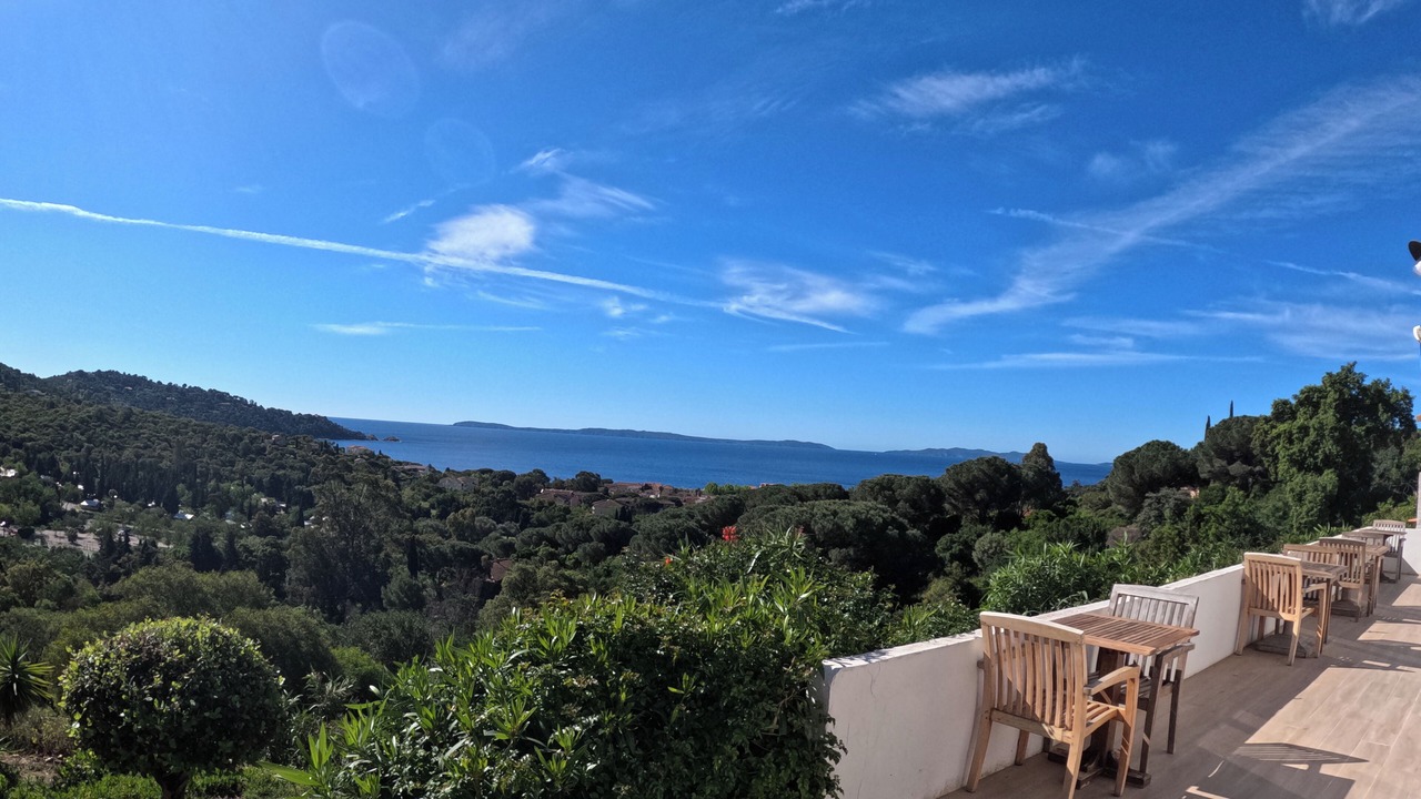 Photo of Others in Cavaliere