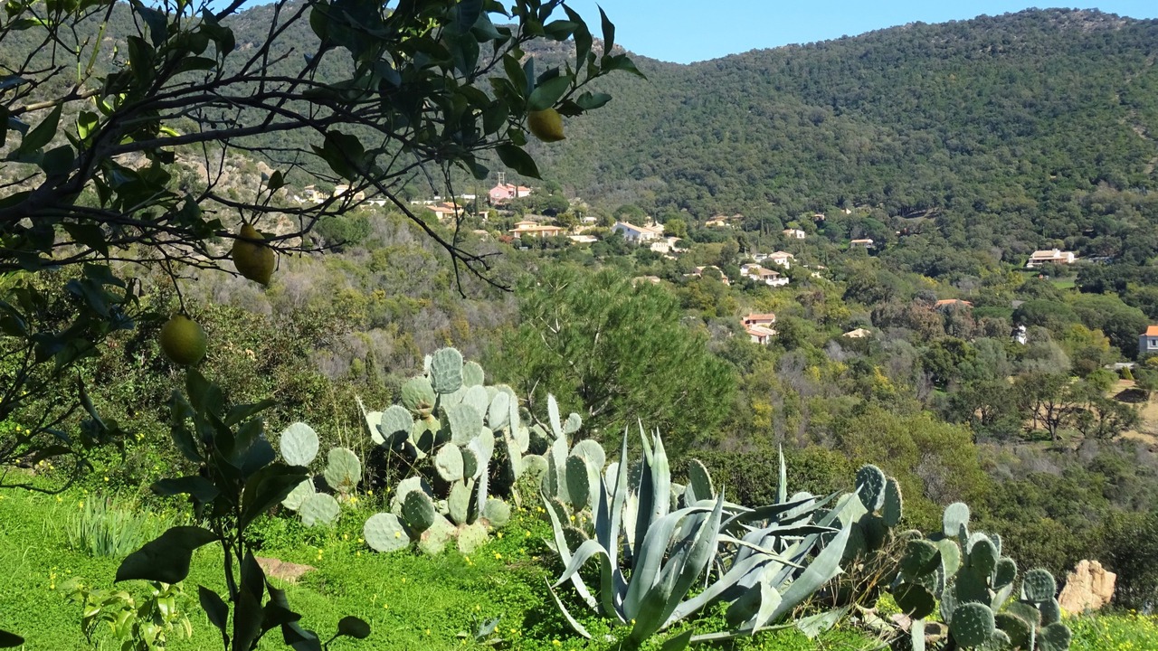 Photo of Others in Cavaliere