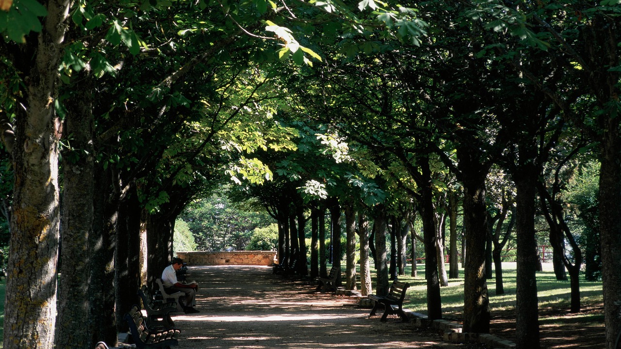 Photo of Outdoor in Soria