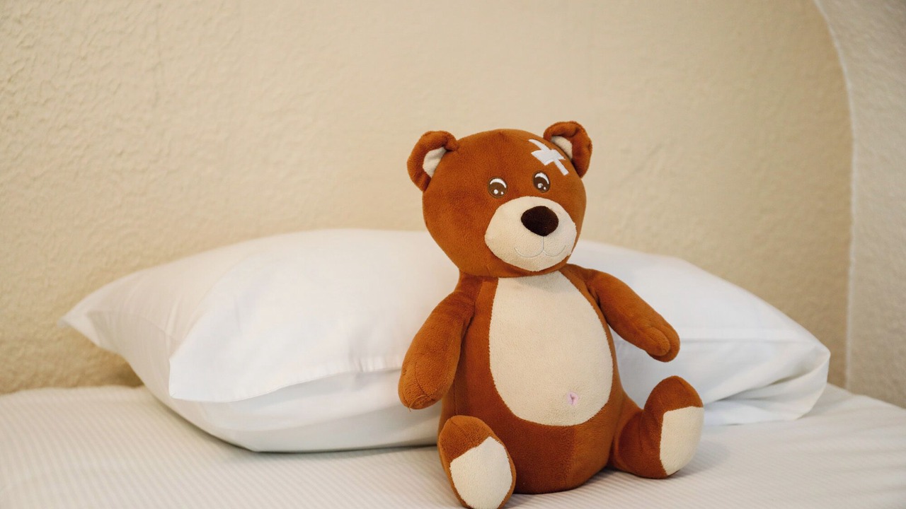 Photo of Bedroom in Auray