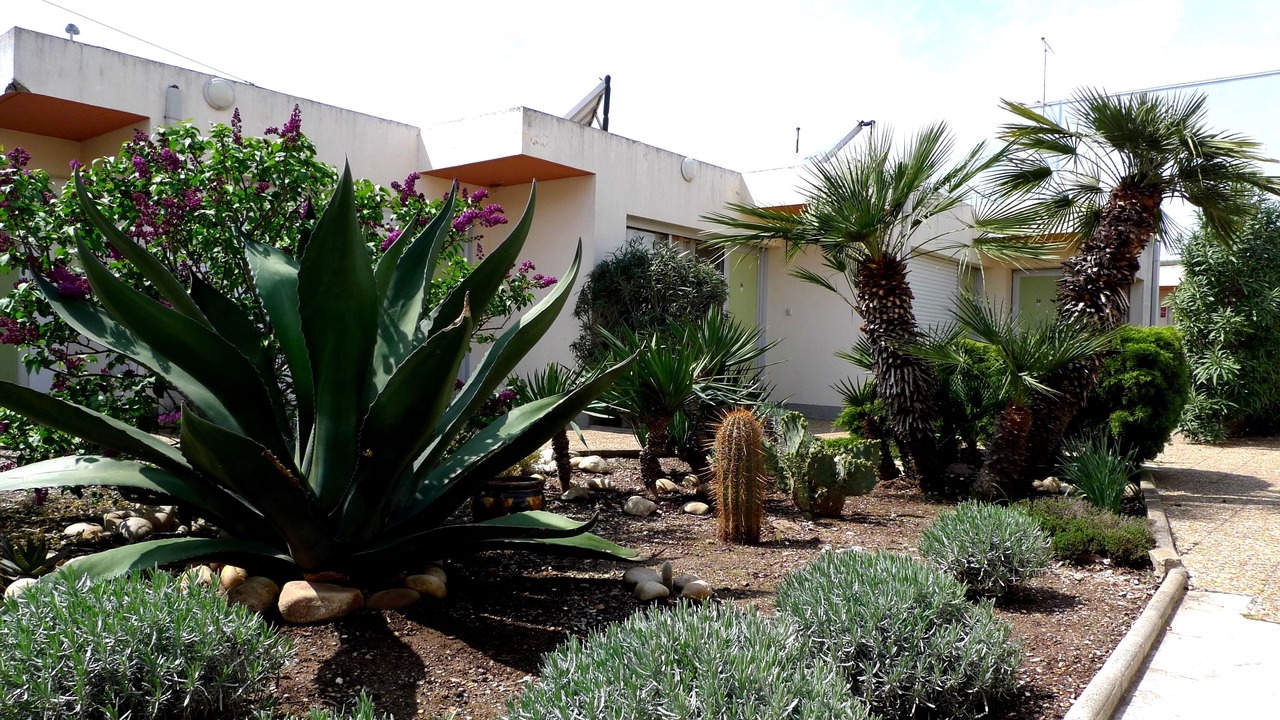 Photo of Outdoor in Palavas-les-Flots