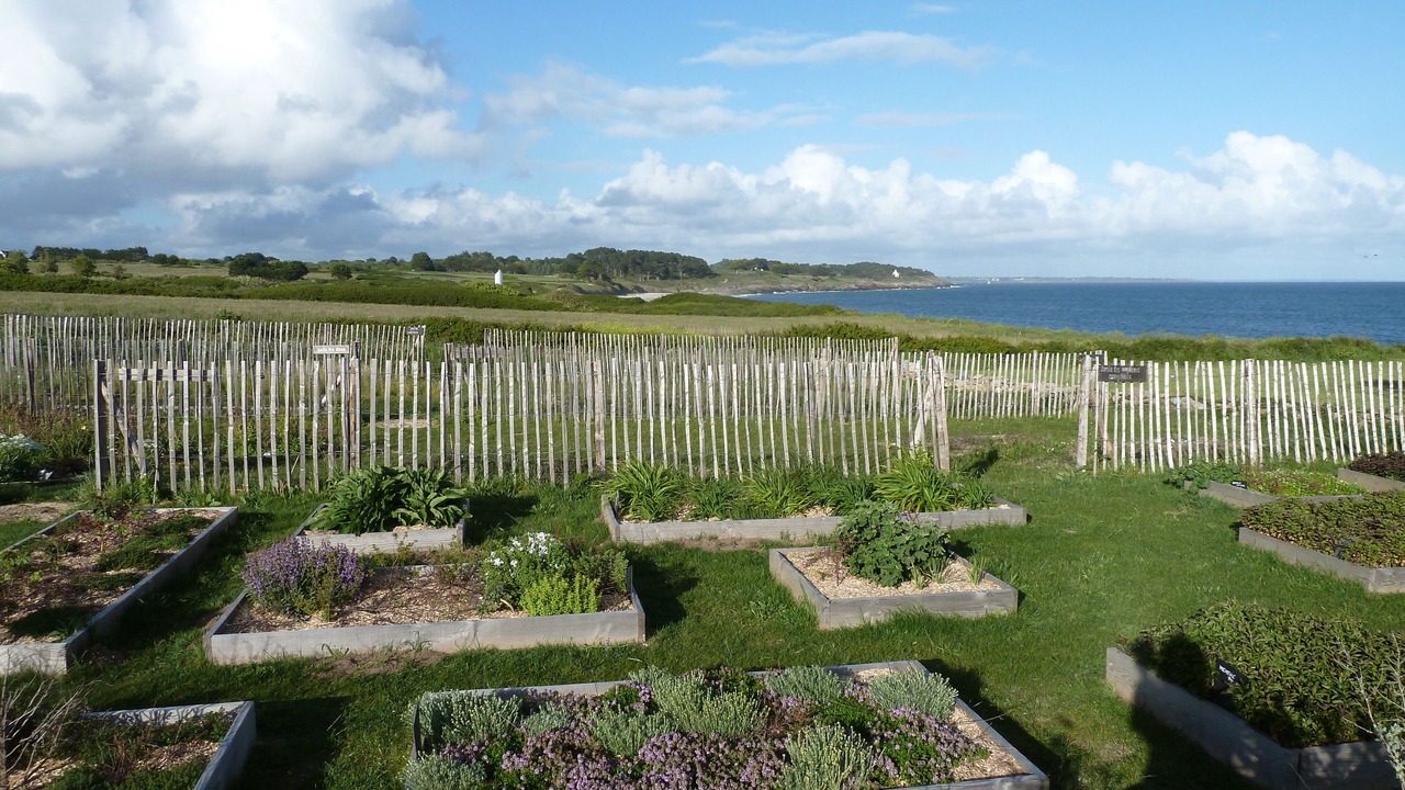 Photo of Outdoor in Nevez