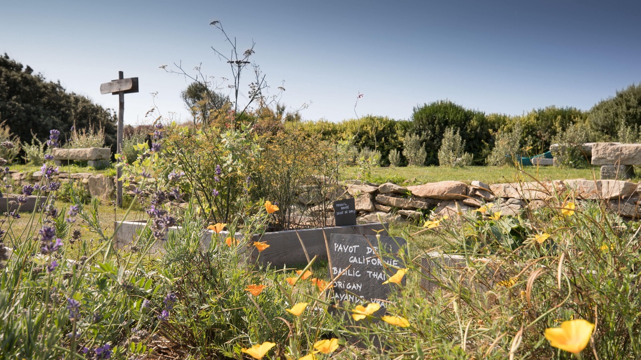 Photo of Outdoor in Nevez