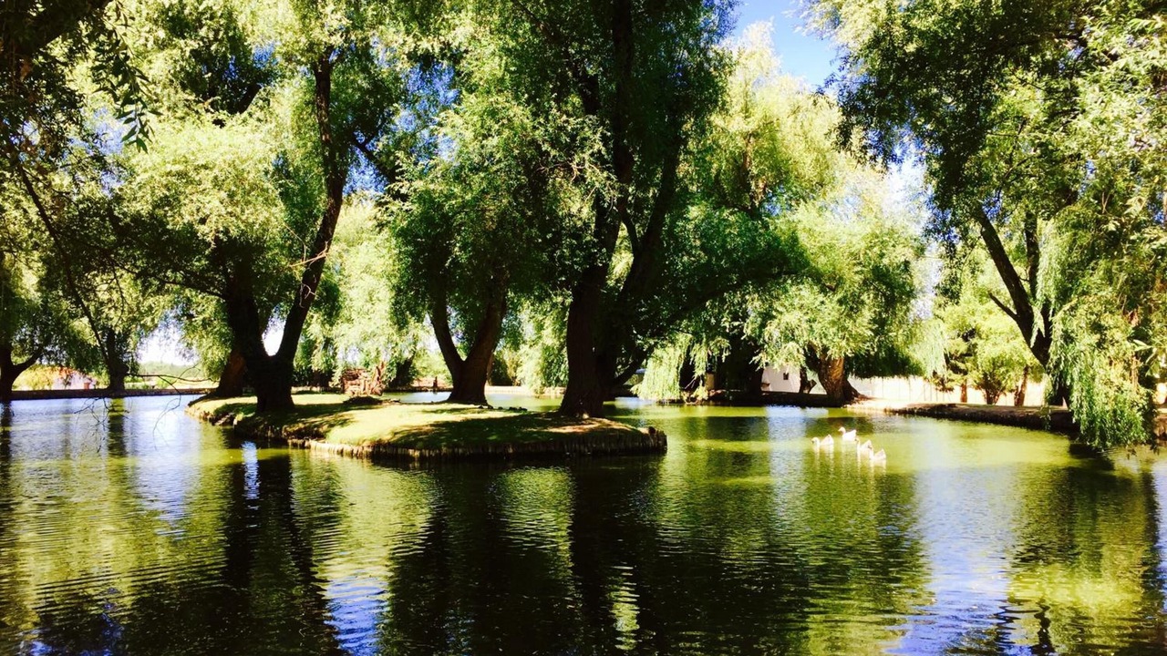 Photo of Outdoor in Roullet-Saint-Estephe