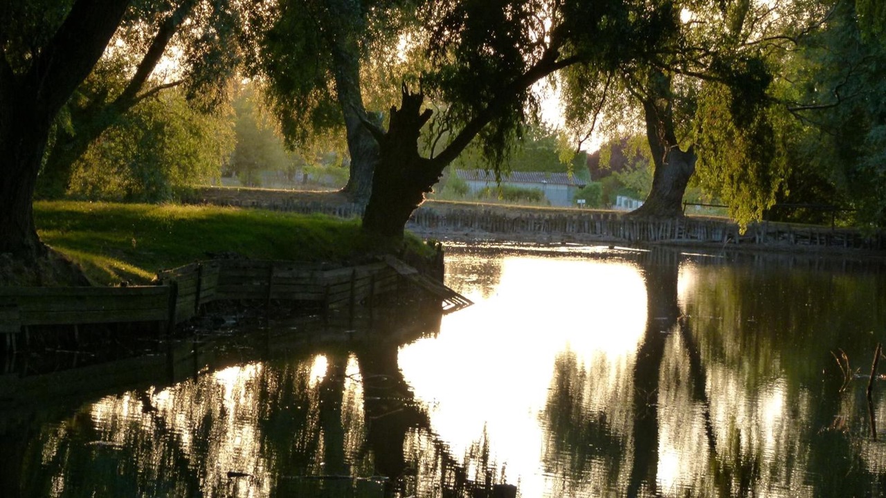 Photo of Outdoor in Roullet-Saint-Estephe