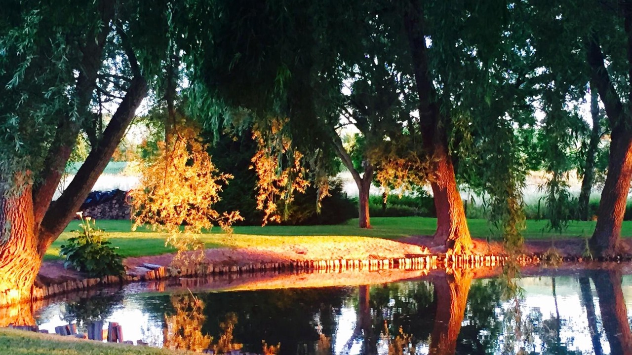 Photo of Outdoor in Roullet-Saint-Estephe