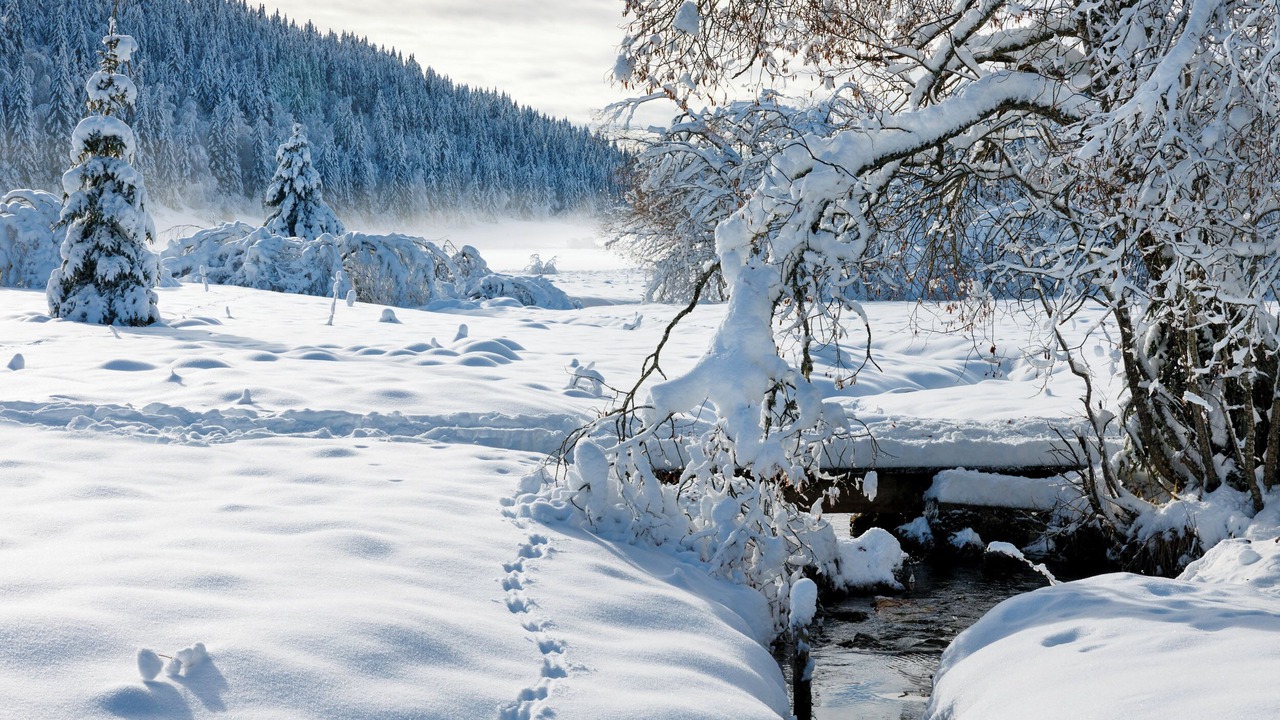 Photo of Outdoor in Mijoux
