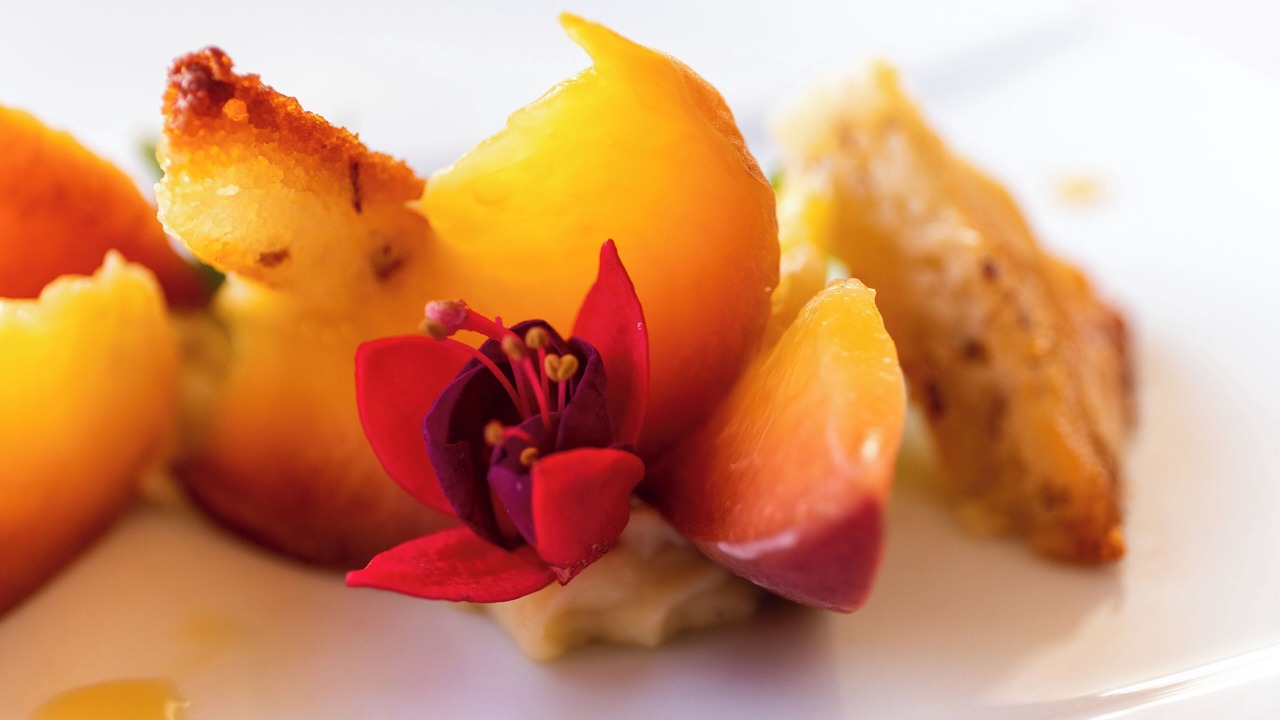 Photo of Others in Saint-Cirgue