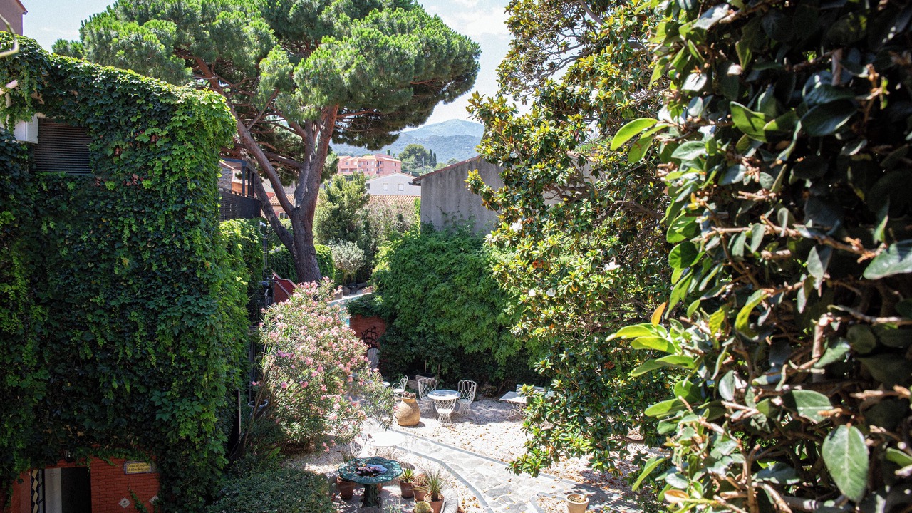 Photo of Outdoor in Collioure