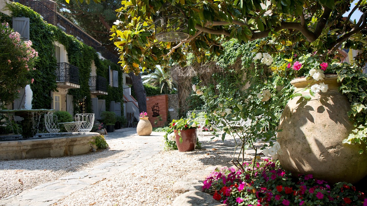 Photo of Outdoor in Collioure