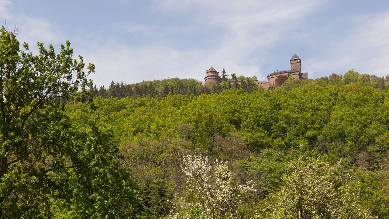 Photo of Outdoor in Saint-Hippolyte
