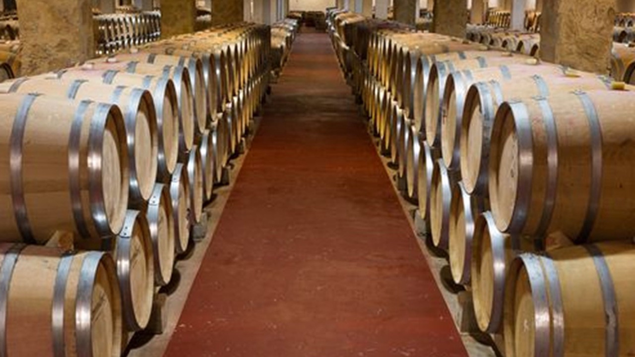 Photo of Others in Aranda de Duero