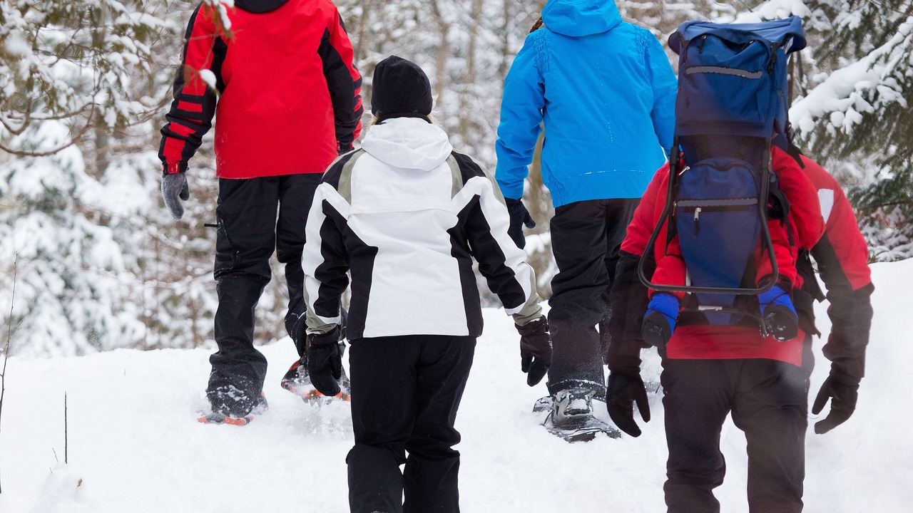 Photo of Others in Gravenhurst