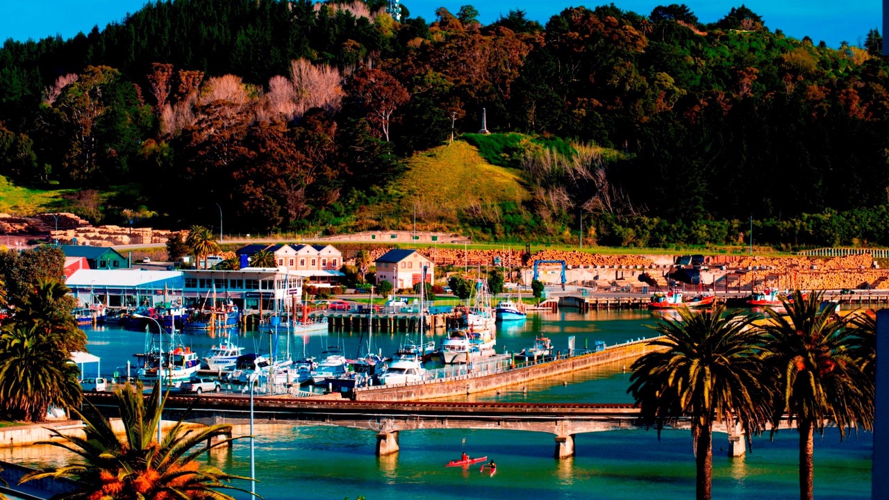 Photo of Outdoor in Gisborne