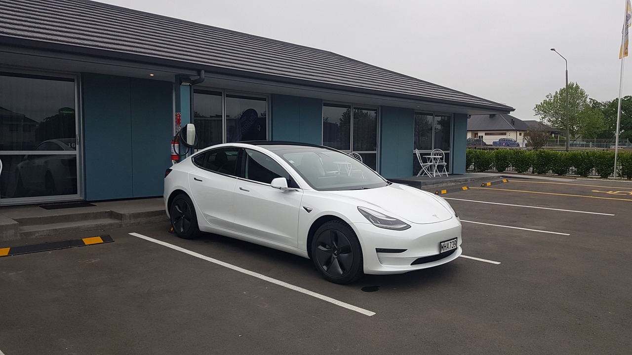 Photo of Others in Ashburton