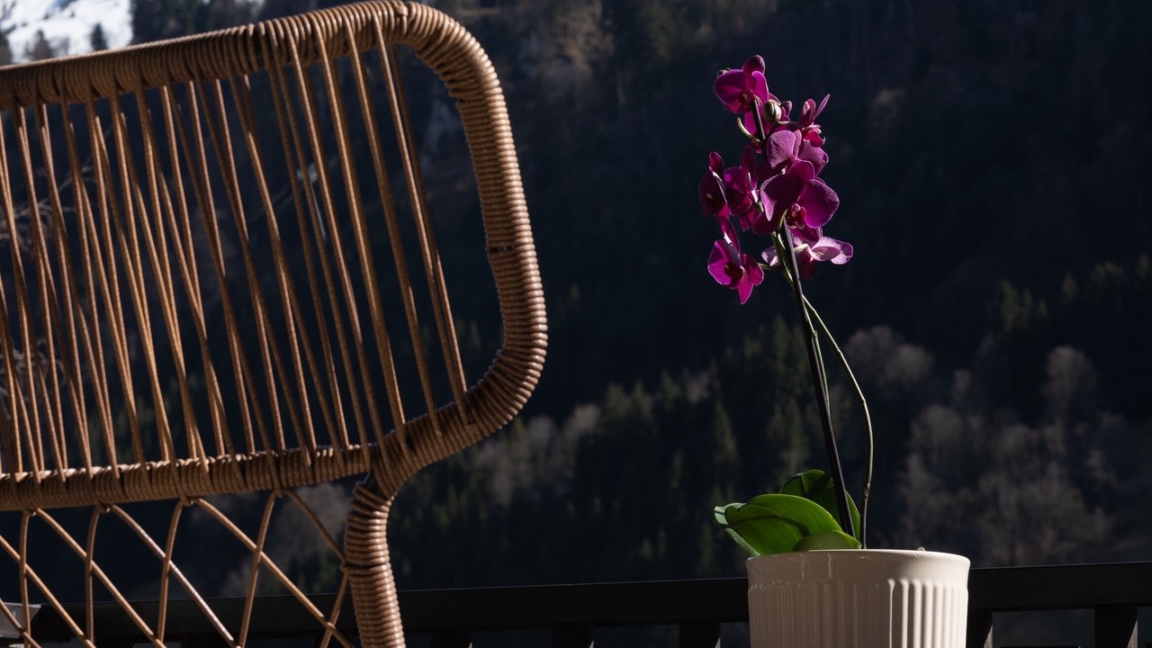 Photo of Others in Engelberg