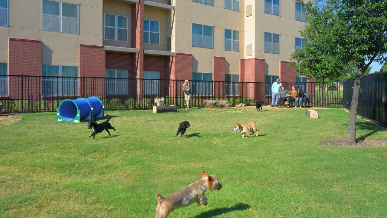 Photo of Others in The Colony