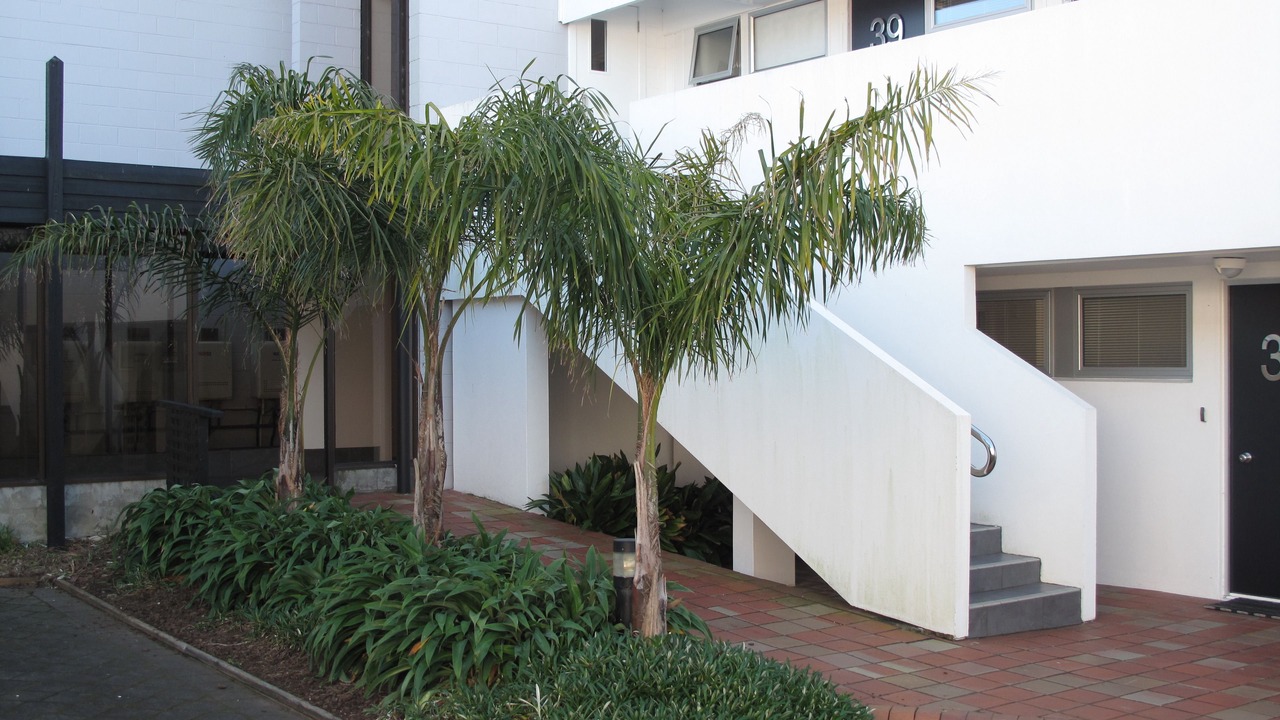 Photo of Outdoor in New Plymouth