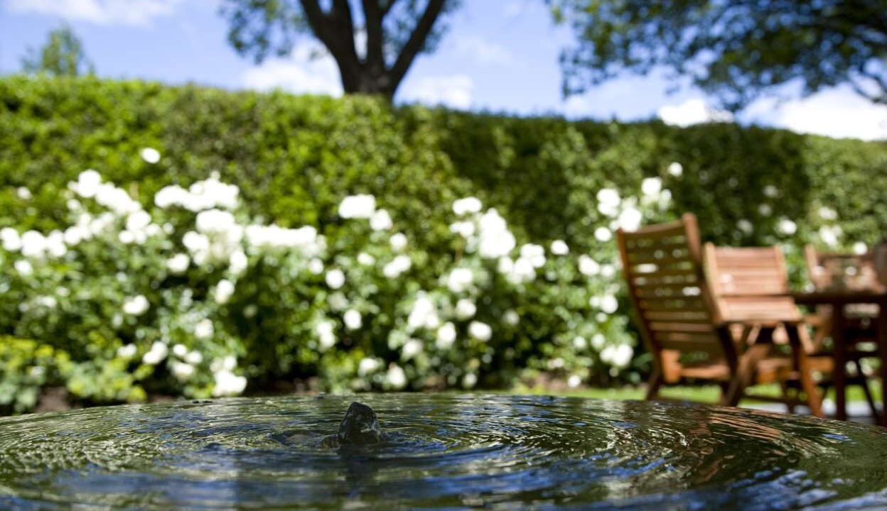 Photo of Others in Arrowtown