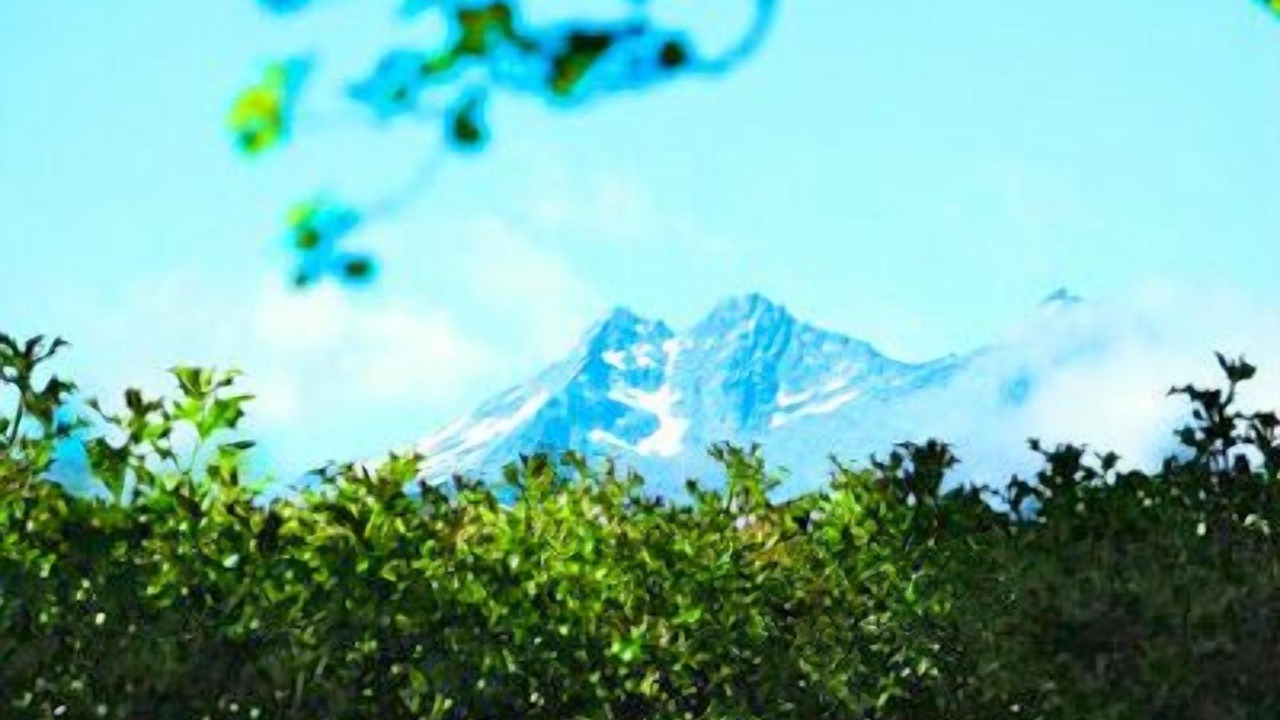 Photo of Others in Arrowtown