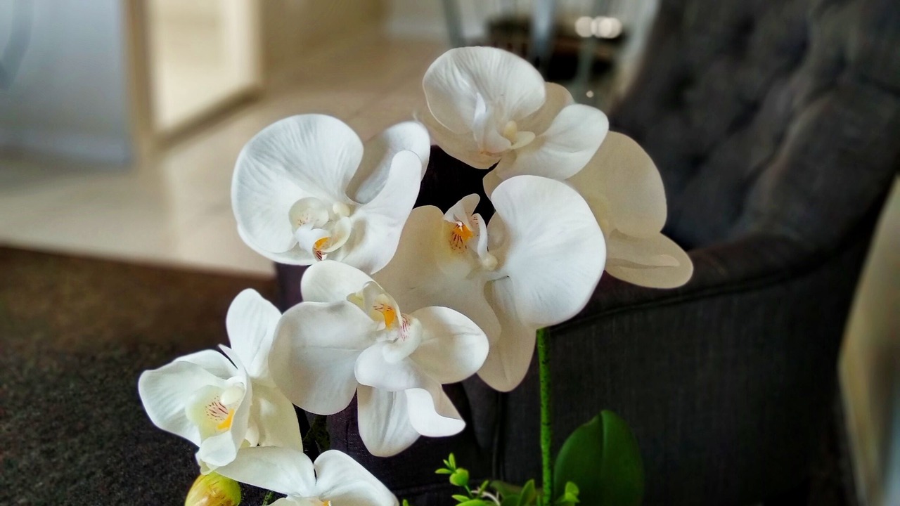 Photo of Others in Westshore