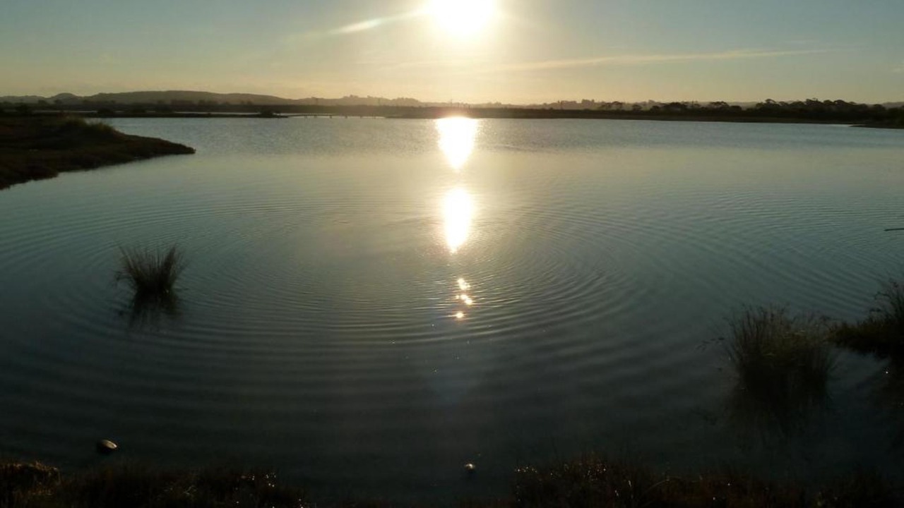 Photo of Others in Westshore