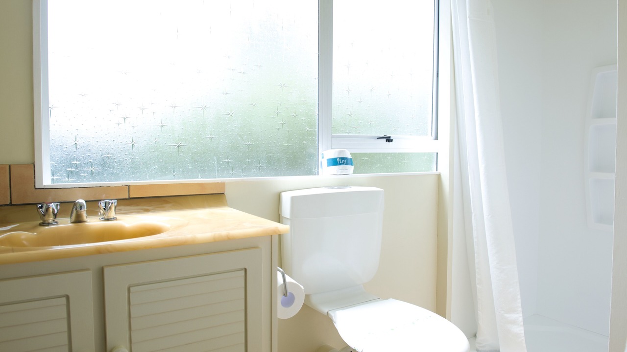 Photo of Bathroom in Waikanae