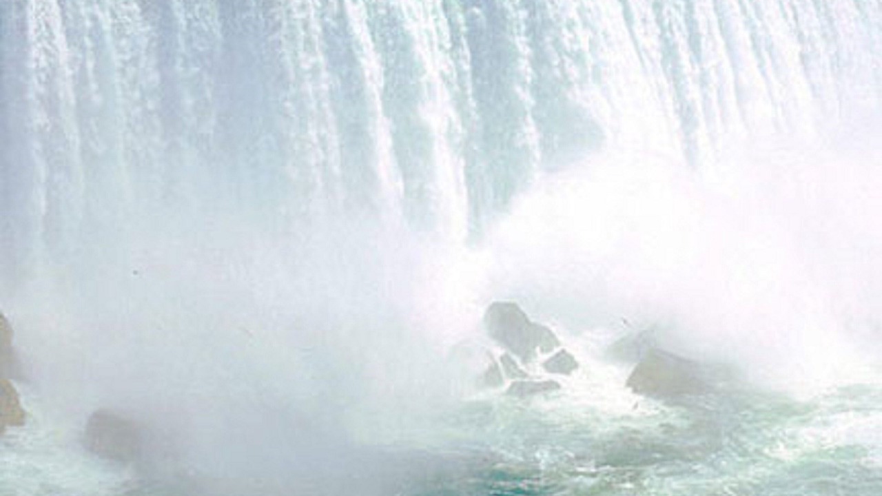 Photo of Others in Amherst