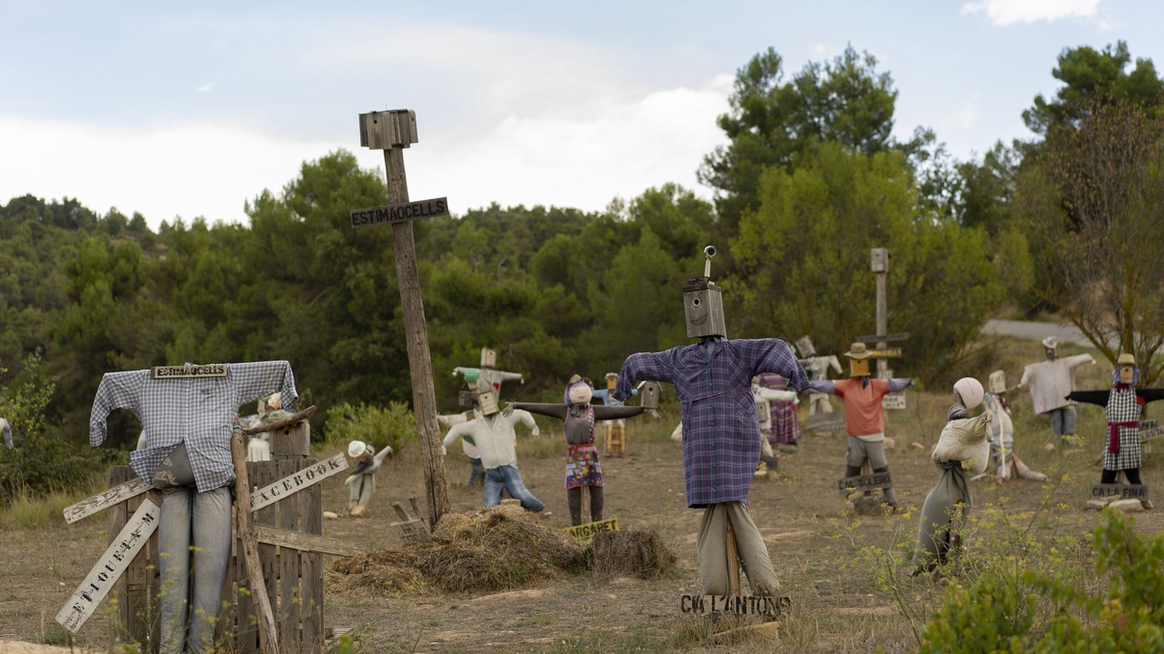 Photo of Others in Rocallaura