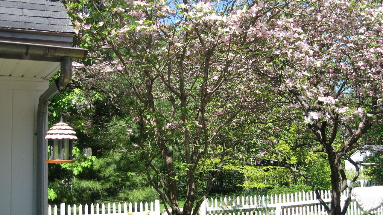 Photo of Outdoor in Scottsville