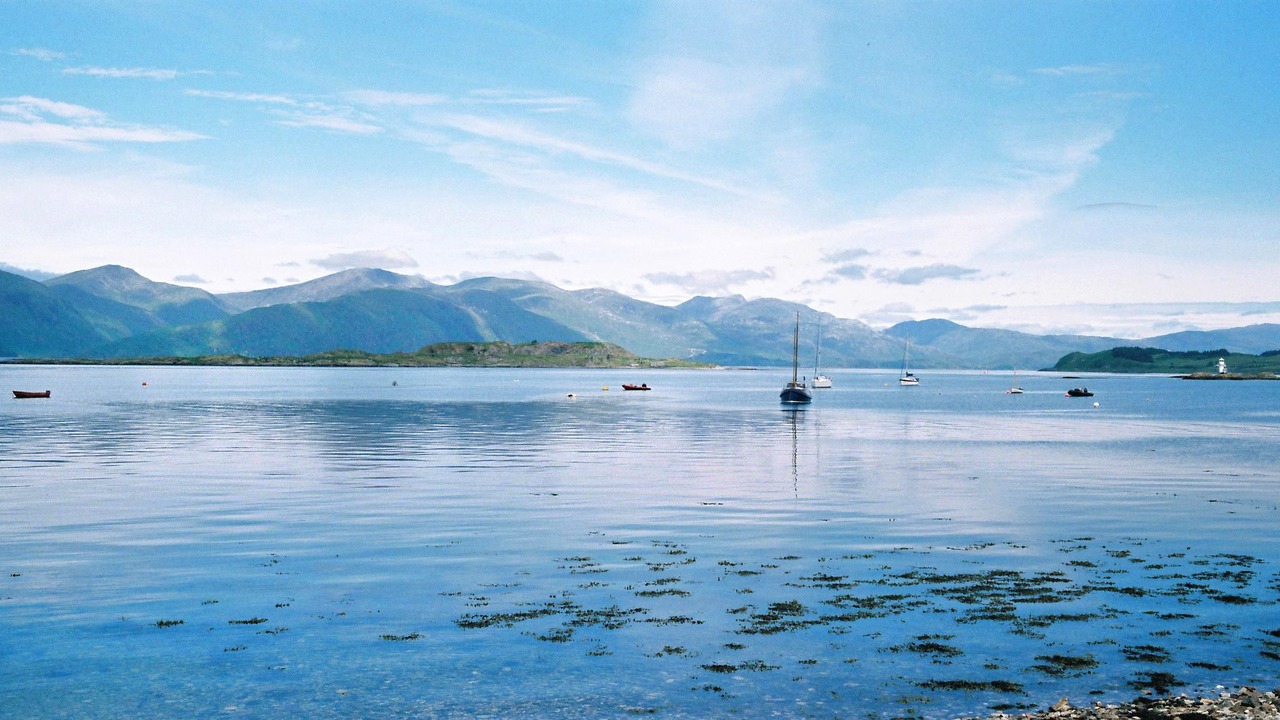 Photo of Others in Port Appin