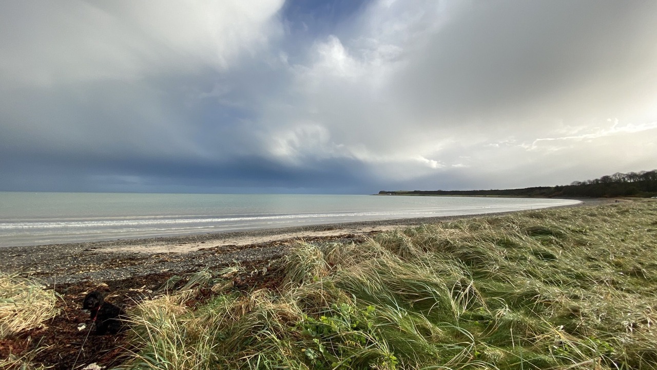 Photo of Others in Sandhead