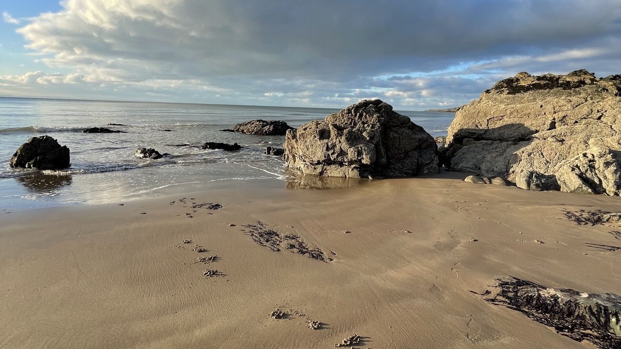 Photo of Others in Sandhead