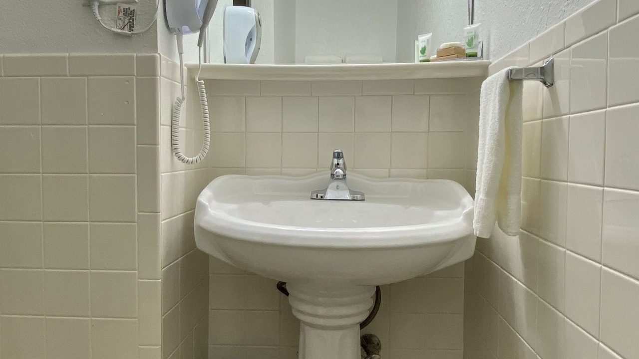 Photo of Others in Inner Richmond