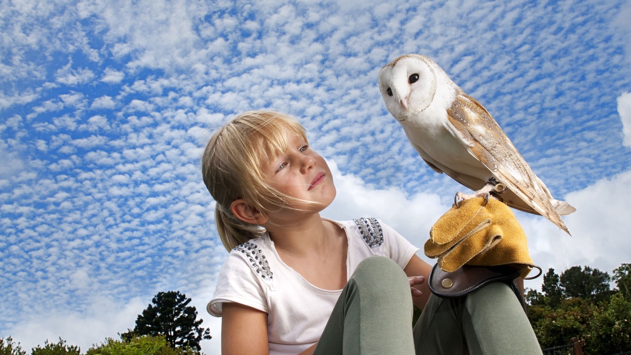 Photo of Others in O'reilly